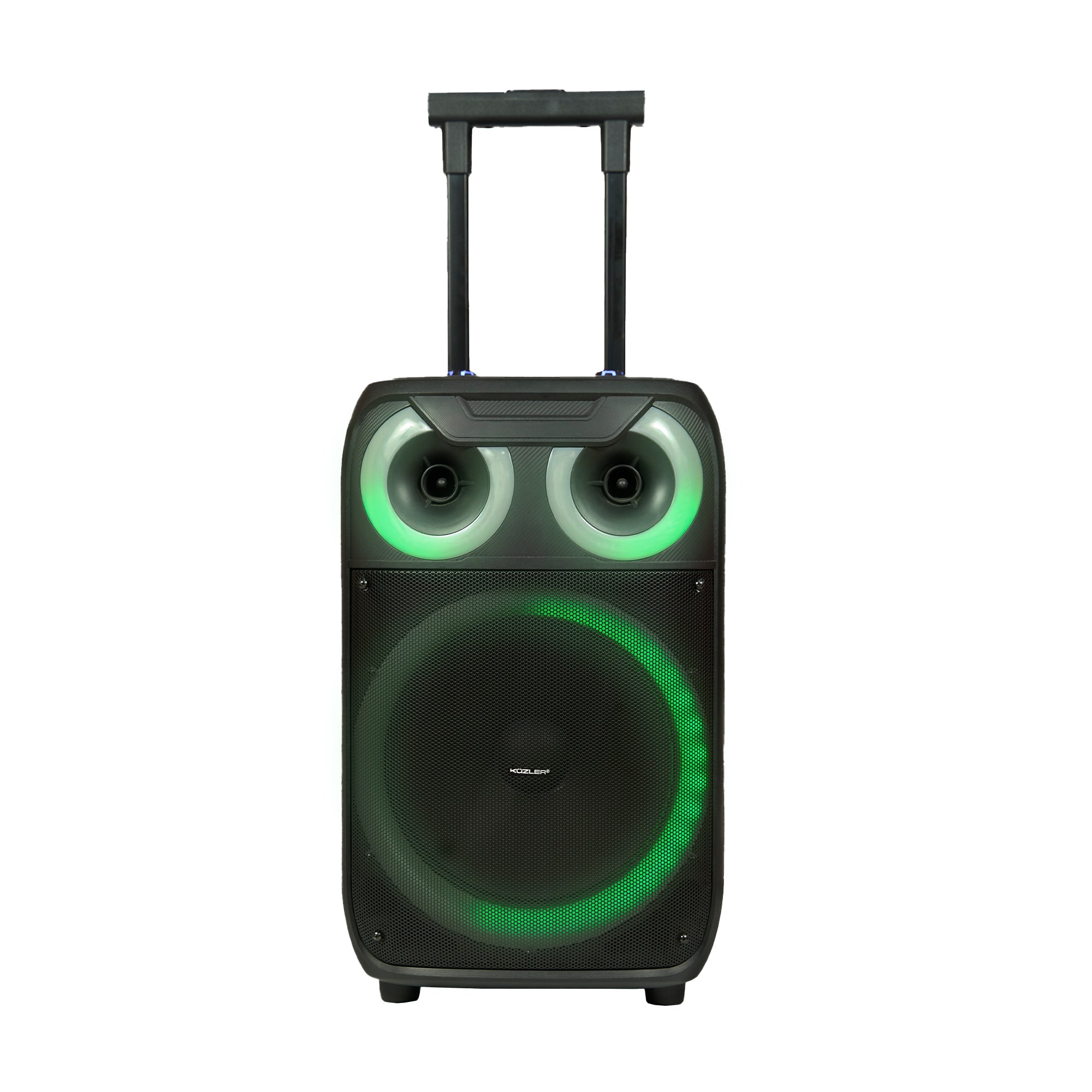 Parlante Karaoke 8 horas 800W Asa retráctil ERWIN-101