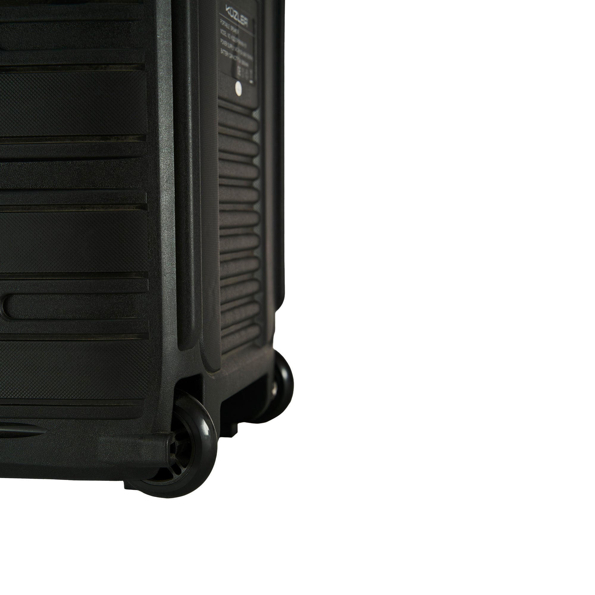 Parlante Karaoke 8 horas 800W Asa retráctil ERWIN-101