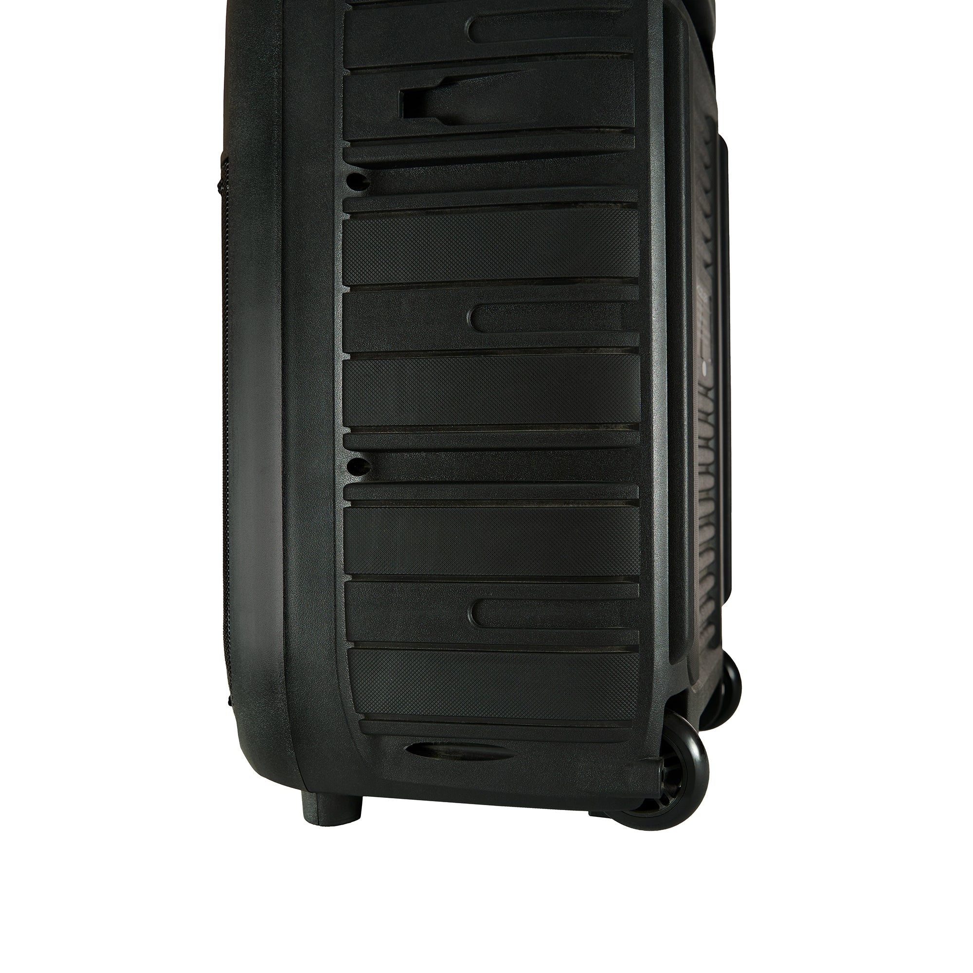 Parlante Karaoke 8 horas 800W Asa retráctil ERWIN-101