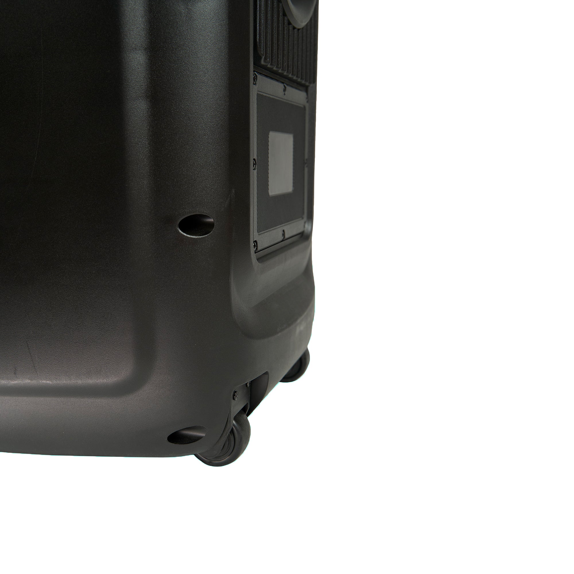 Parlante Karaoke 8 horas 3200W RIP-101