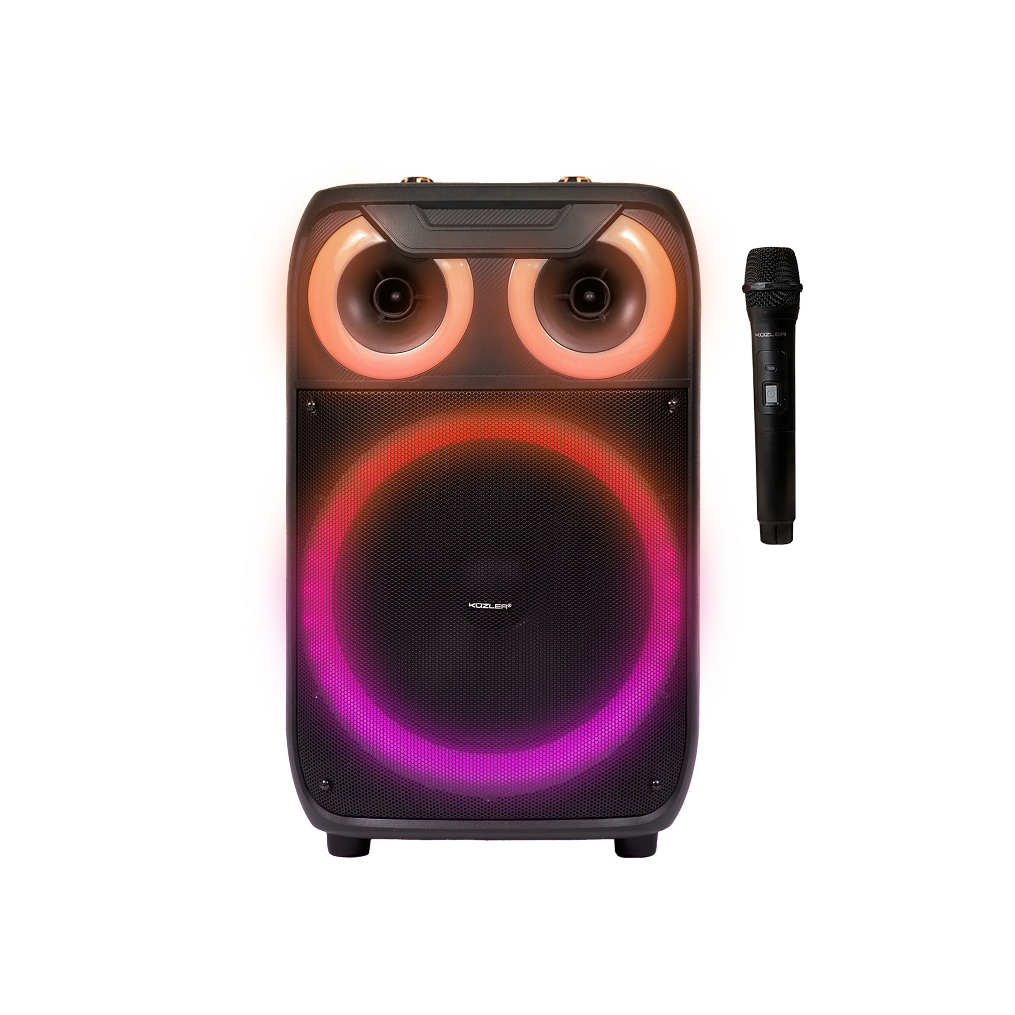 Parlante Karaoke 8 horas 800W Asa retráctil ERWIN-101