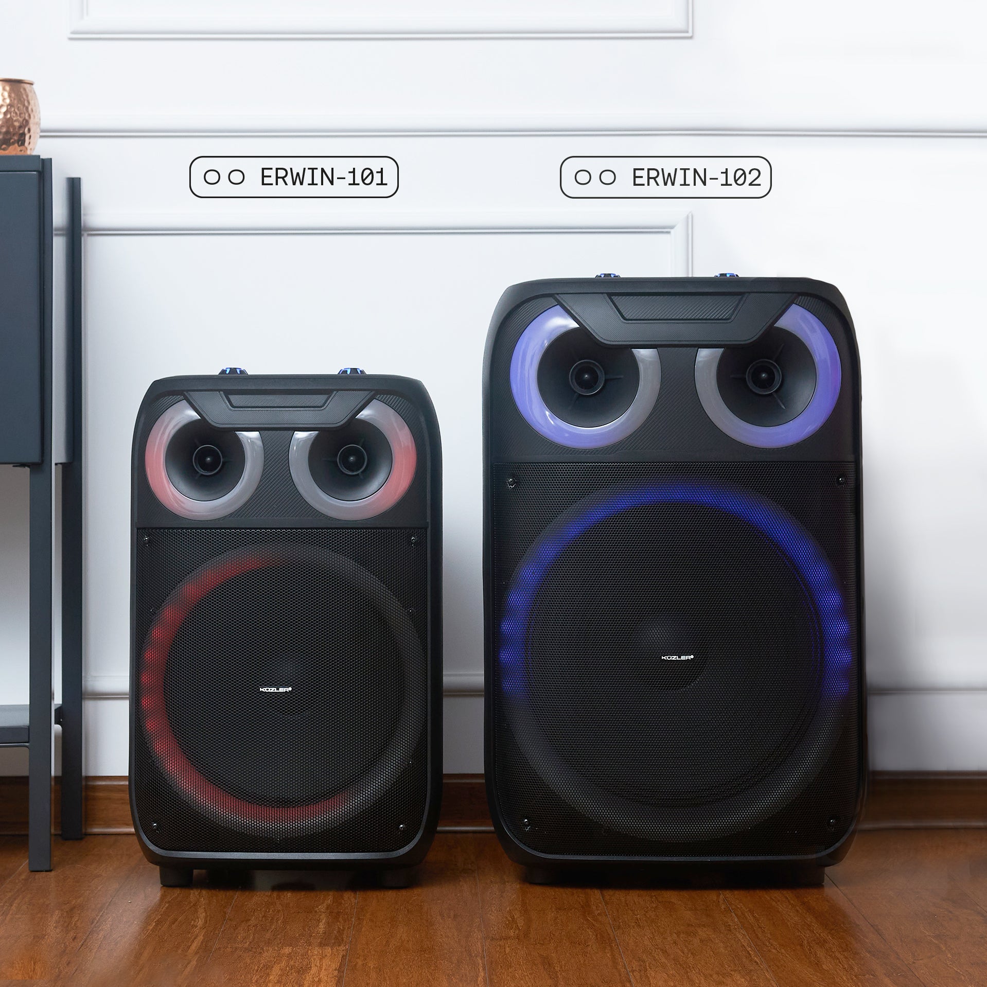 Parlante Karaoke 8 horas 800W Asa retráctil ERWIN-101